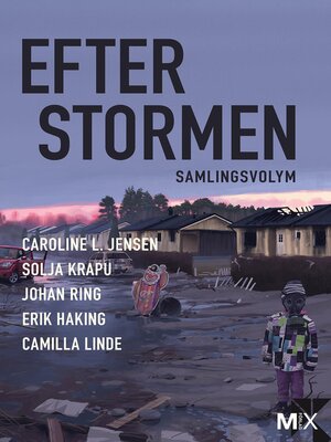 cover image of Efter stormen